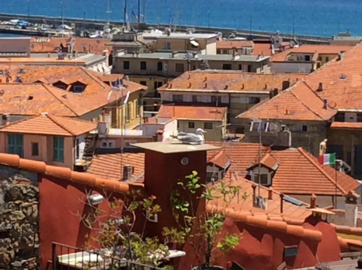 Blue Apartment Sanremo